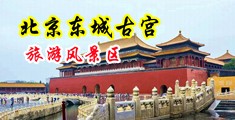 小穴21p中国北京-东城古宫旅游风景区